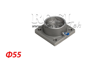 BALL Φ 55 CON FLANGE