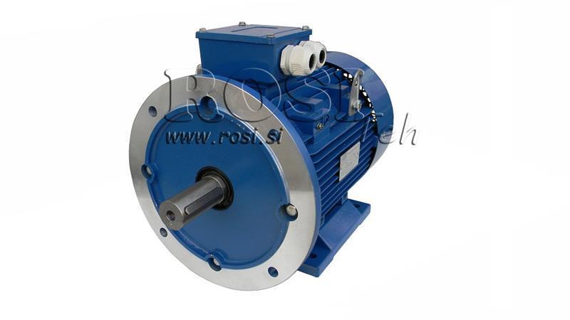 MOTOR ELÉCTRICO 2P B3B5 3F 