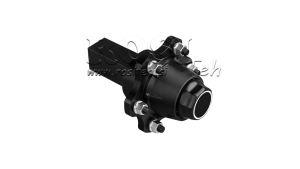 SEMIALBERI-SENZA-FRENI